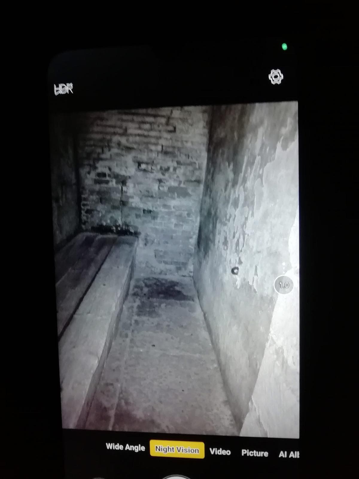 Nottingham Walk - Picture 2